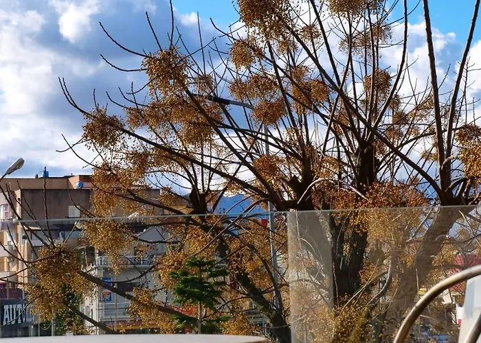 Ξενοδοχείο Nord Boutique By Horizont Σκόδρα